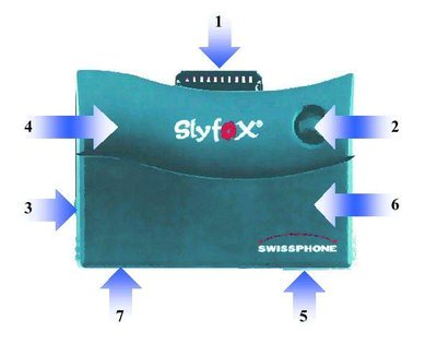 SlyFox Image #4