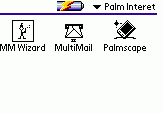    Palm    #12